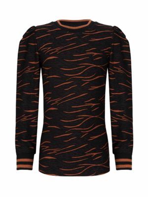 Longsleeve Indian Blue Jeans Zebra