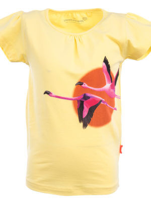t-shirt Stones and Bones Sunset LAATSTE STUK maat 116