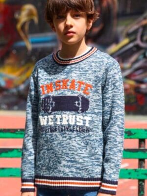 Street Monkey sweater In Skate