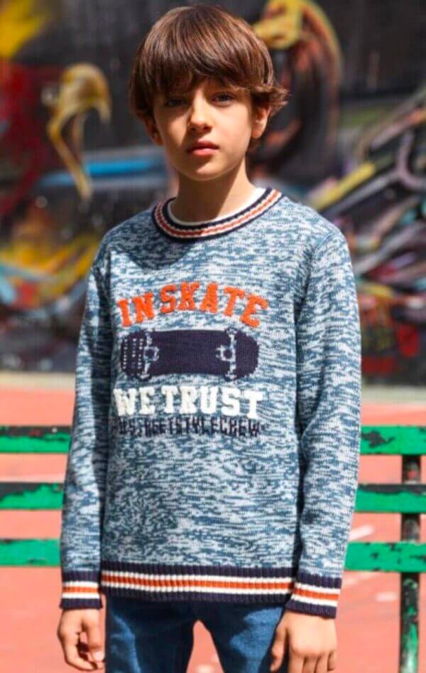 Street Monkey sweater In Skate