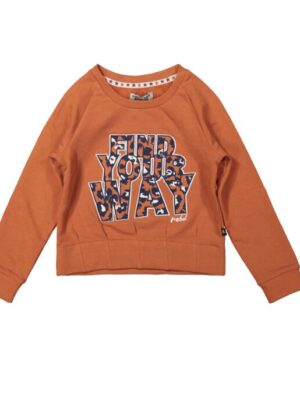 DJ dutch jeans sweater rusty brown