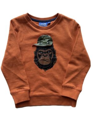 Sweater aap oranje LAATSTE STUK 104