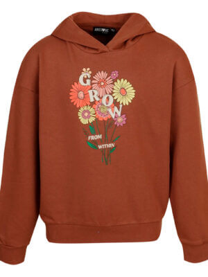 Awesome (by Someone) hoodie Haight Brown