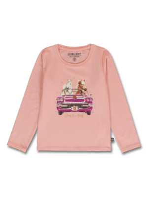 Lemon Beret paarden auto
