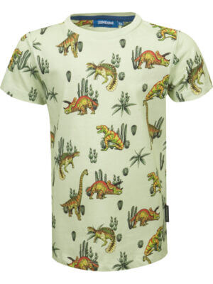 Someone t-shirt vulcano light green