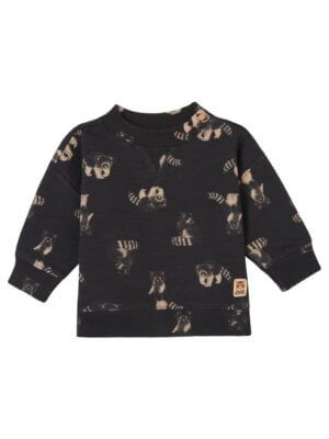 Noppies Sweater Grijota - Phantom