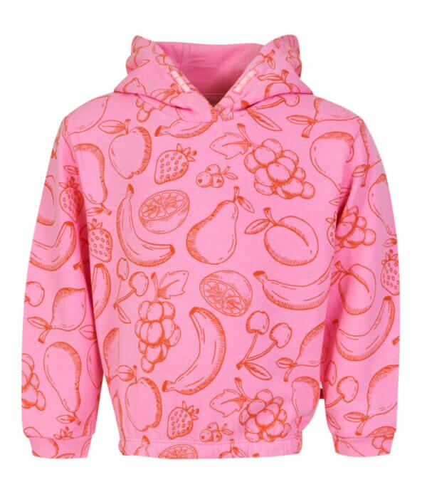 Someone sweater met kap PIEN-SG-16-C