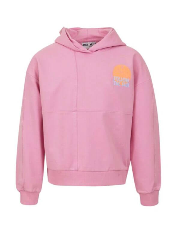 Someone sweater met kap LINN-G-16-F