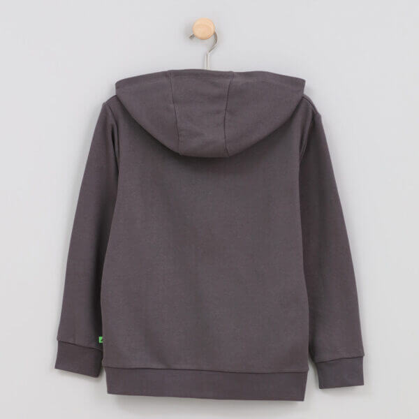 Losan hoodie Now Or Never - Afbeelding 2