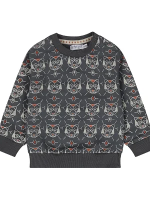 Dirkje jongens sweater navy roestbruin beer -