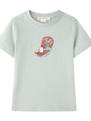 Newness T-shirt watergroen skaters JBV66282