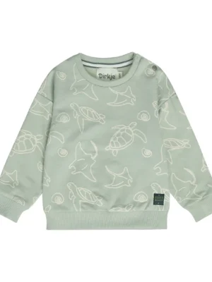 Dirkje jongens sweater zachtgroen turtle  N58649-35