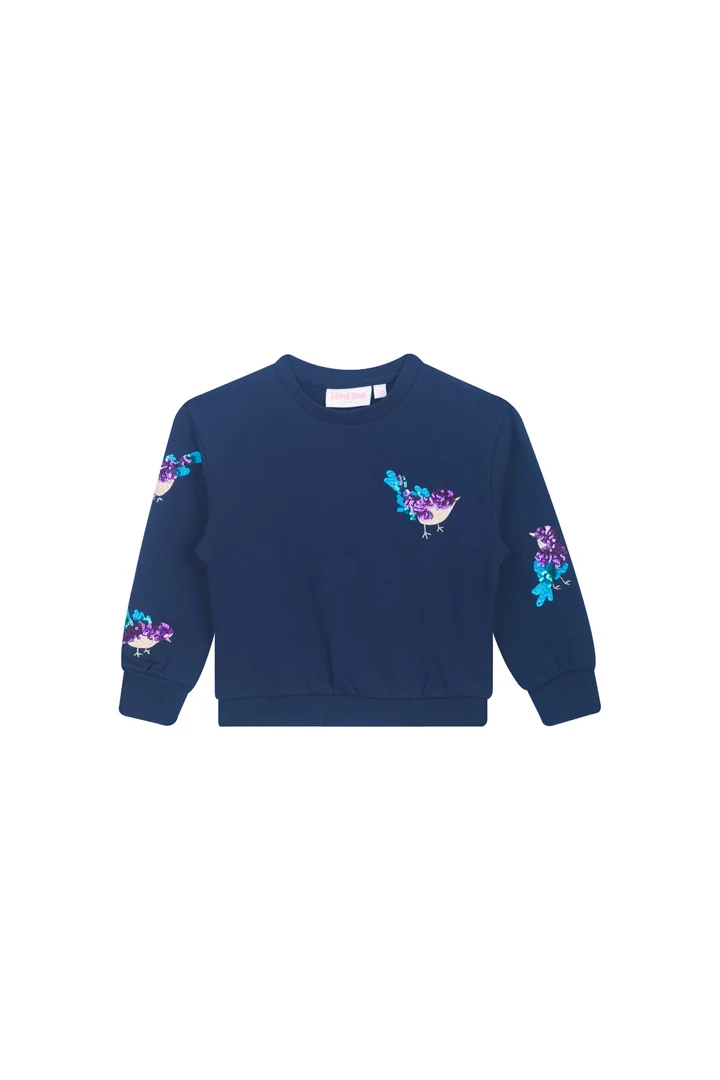 Someone sweater lieve glitter vogelprint navy Talia-SG-16-J LAATSTE STUK MAAT 110 - Afbeelding 3