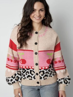 Gebreide dames Cardigan  Kleurblok Leuk beige